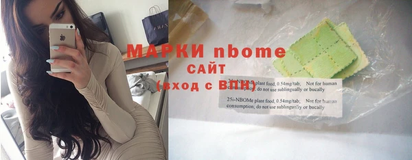 хмурый Касимов