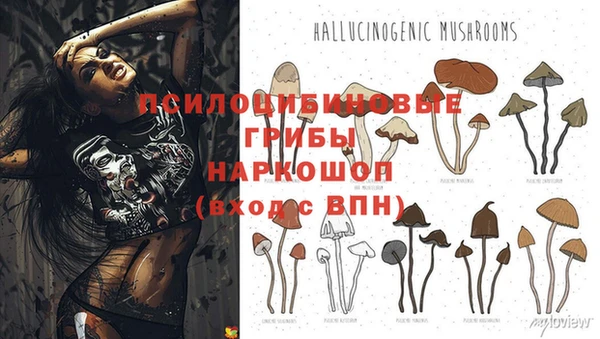 герыч Чекалин