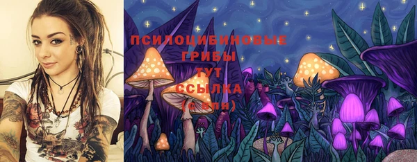 ECSTASY Карпинск