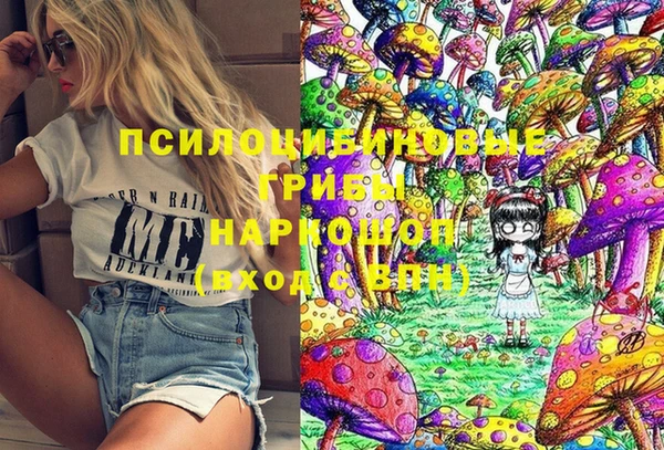 хмурый Касимов