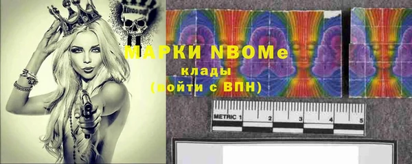 хмурый Касимов